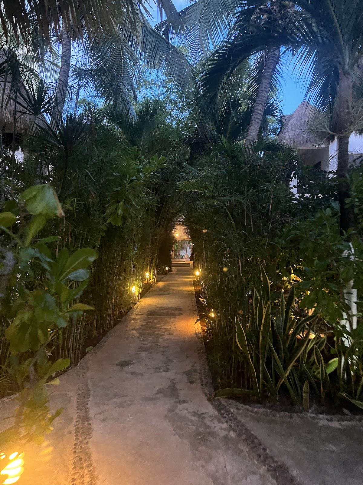Playa Arena gallery 7