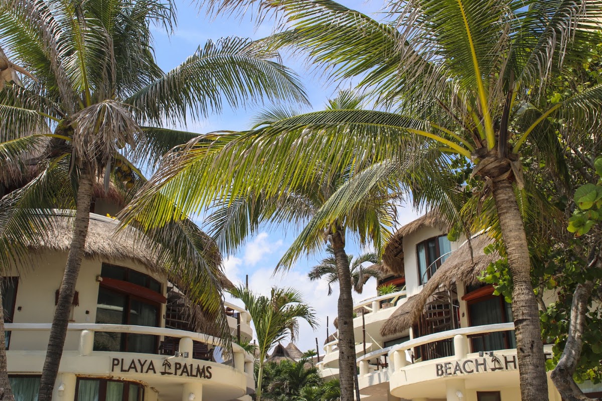 Playa Palms Beach Hotel gallery 1