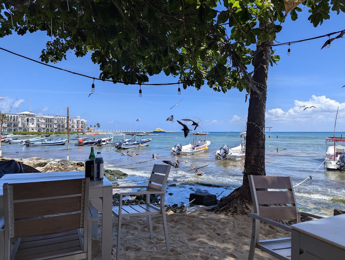 Playa Palms Beach Hotel gallery 10