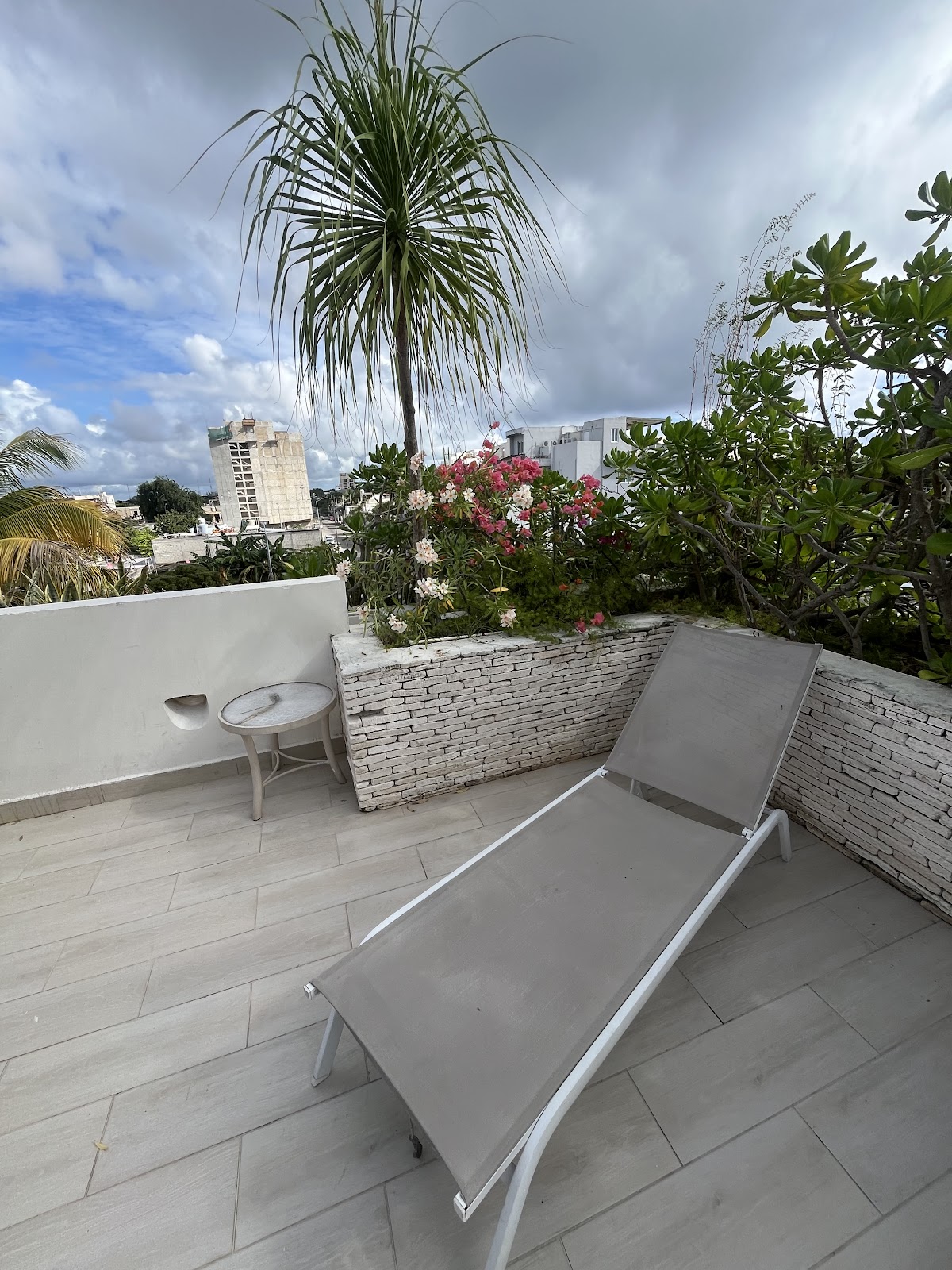POLO 15 Suites gallery 5