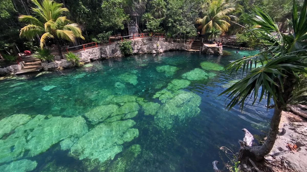 Posada Tres Garcia - Riviera Maya gallery 8