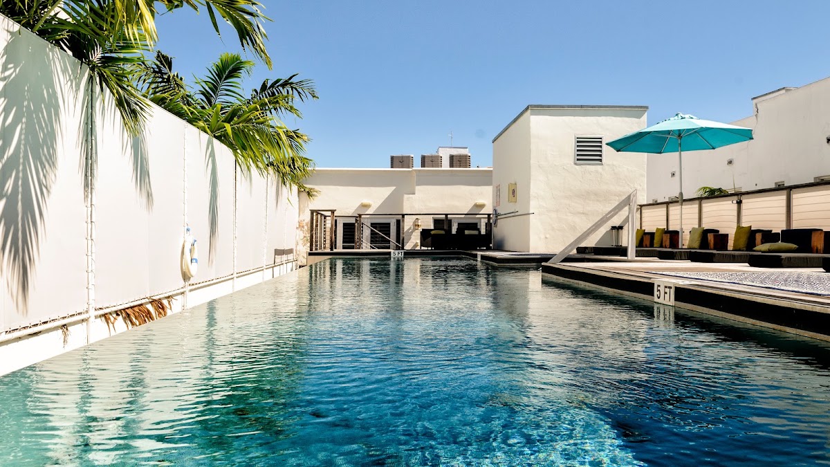 Posh Hostel South Beach gallery 10