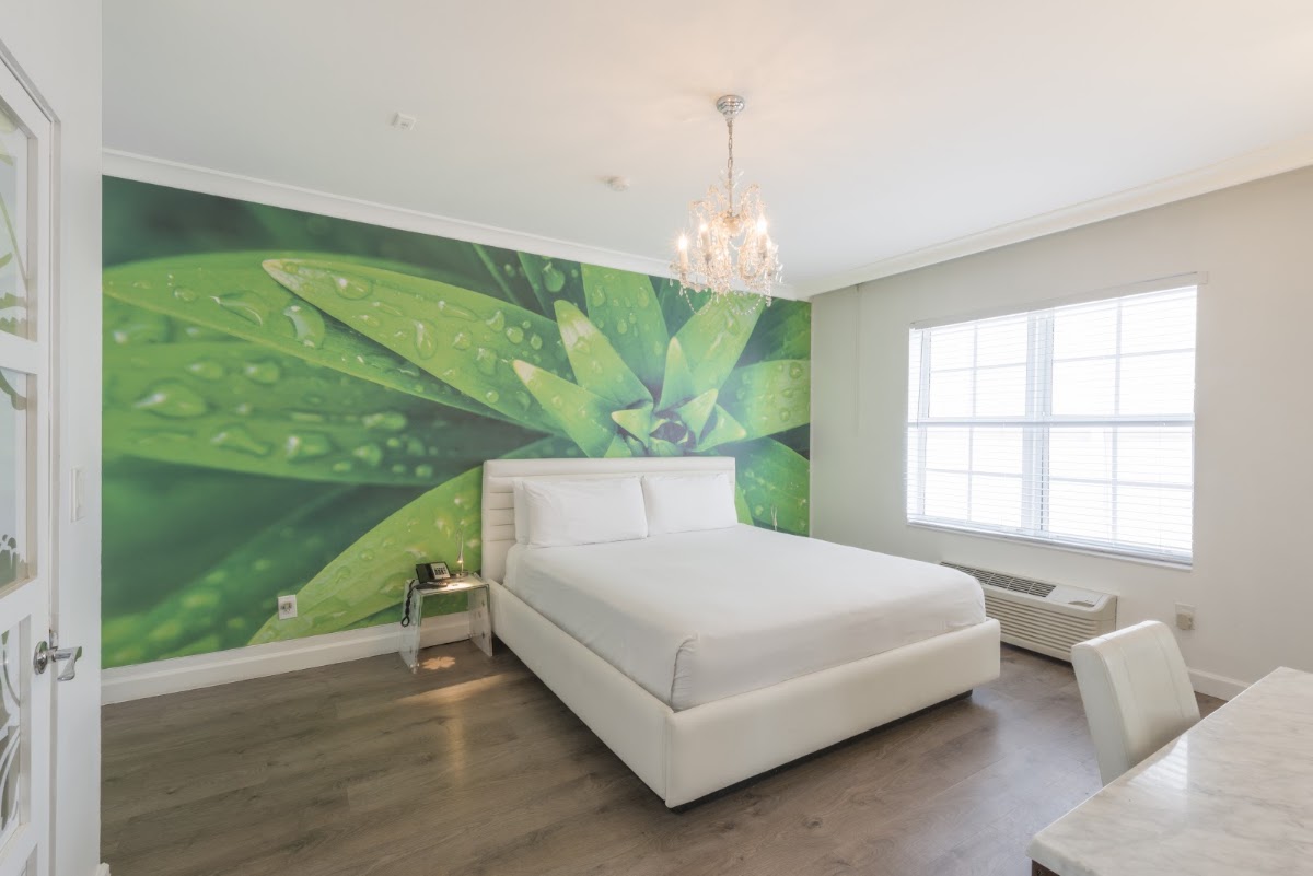 President Hotel South Beach gallery 2