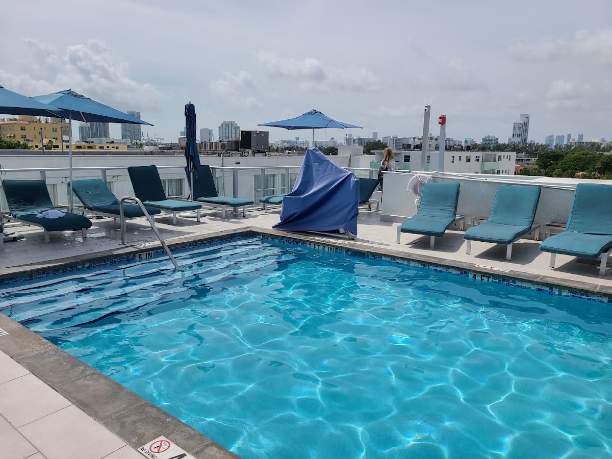 President Hotel South Beach gallery 3