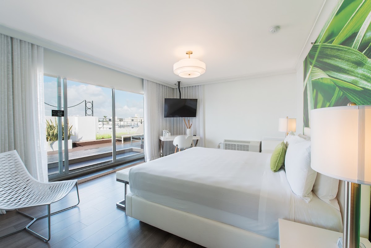 President Hotel South Beach gallery 8