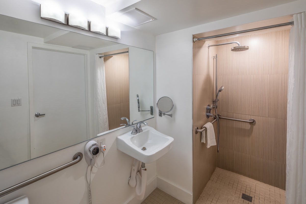 President Hotel Villa Miami Beach gallery 4