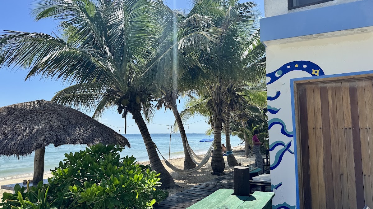 Pronoia Casa de Playa - Hotel - Beach Club gallery 5