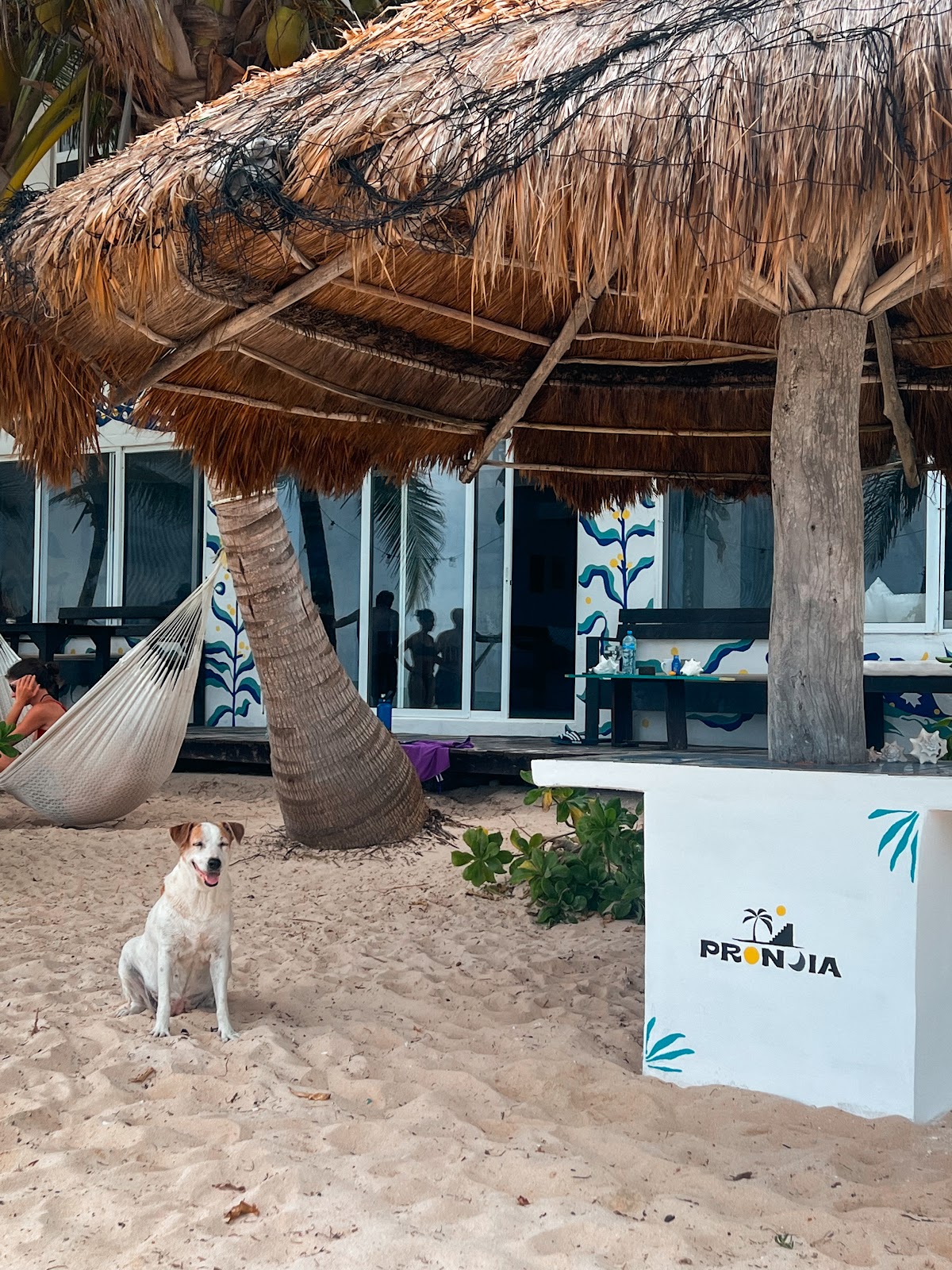 Pronoia Casa de Playa - Hotel - Beach Club gallery 6