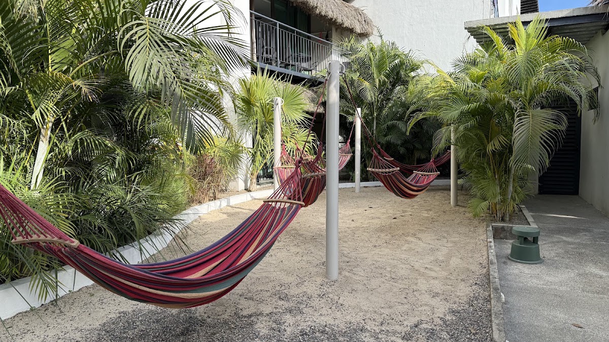 Puerto Sayulita gallery 10