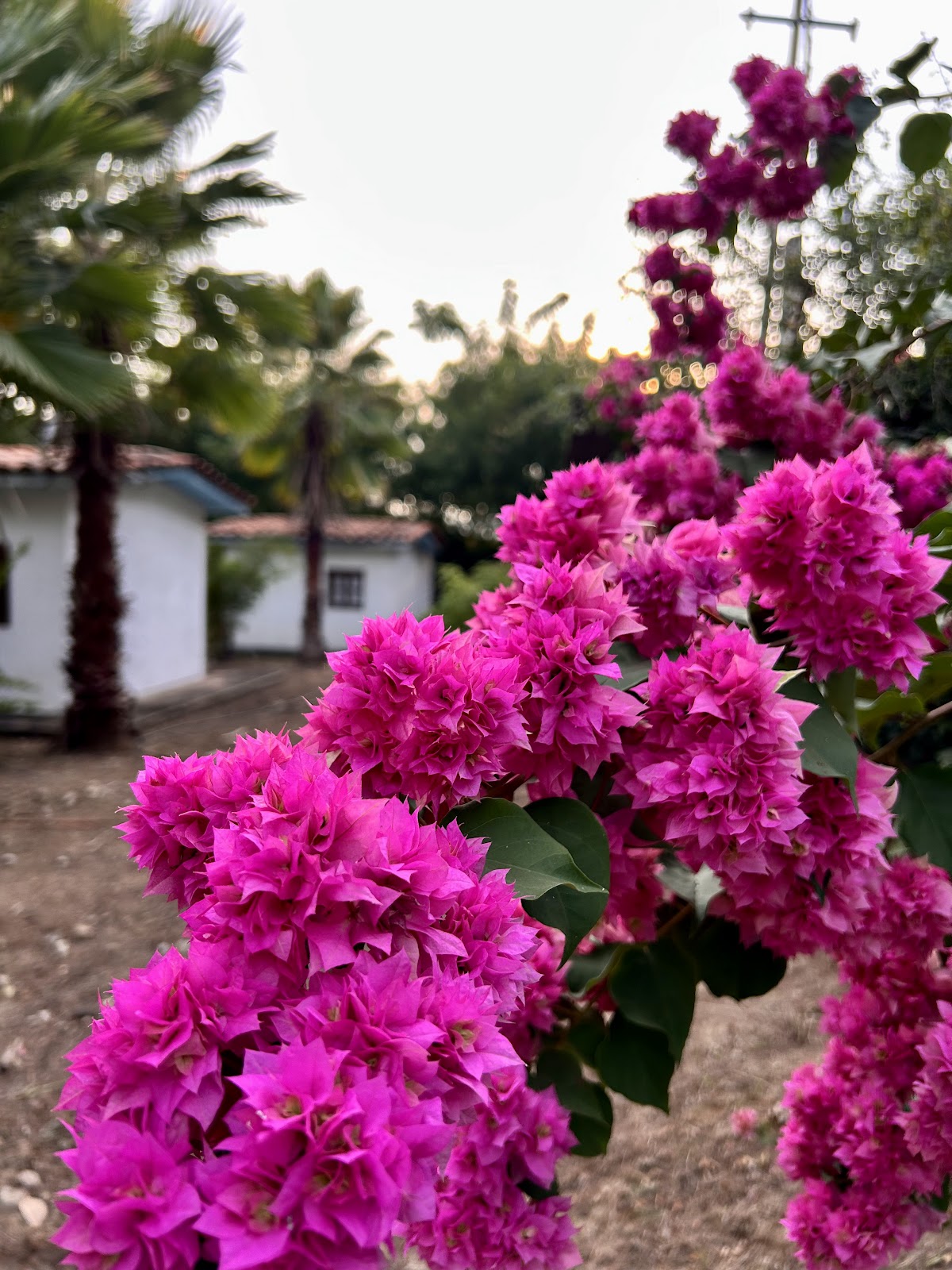 Quinta Ventura Mixtepec | Stays Huatulco gallery 10