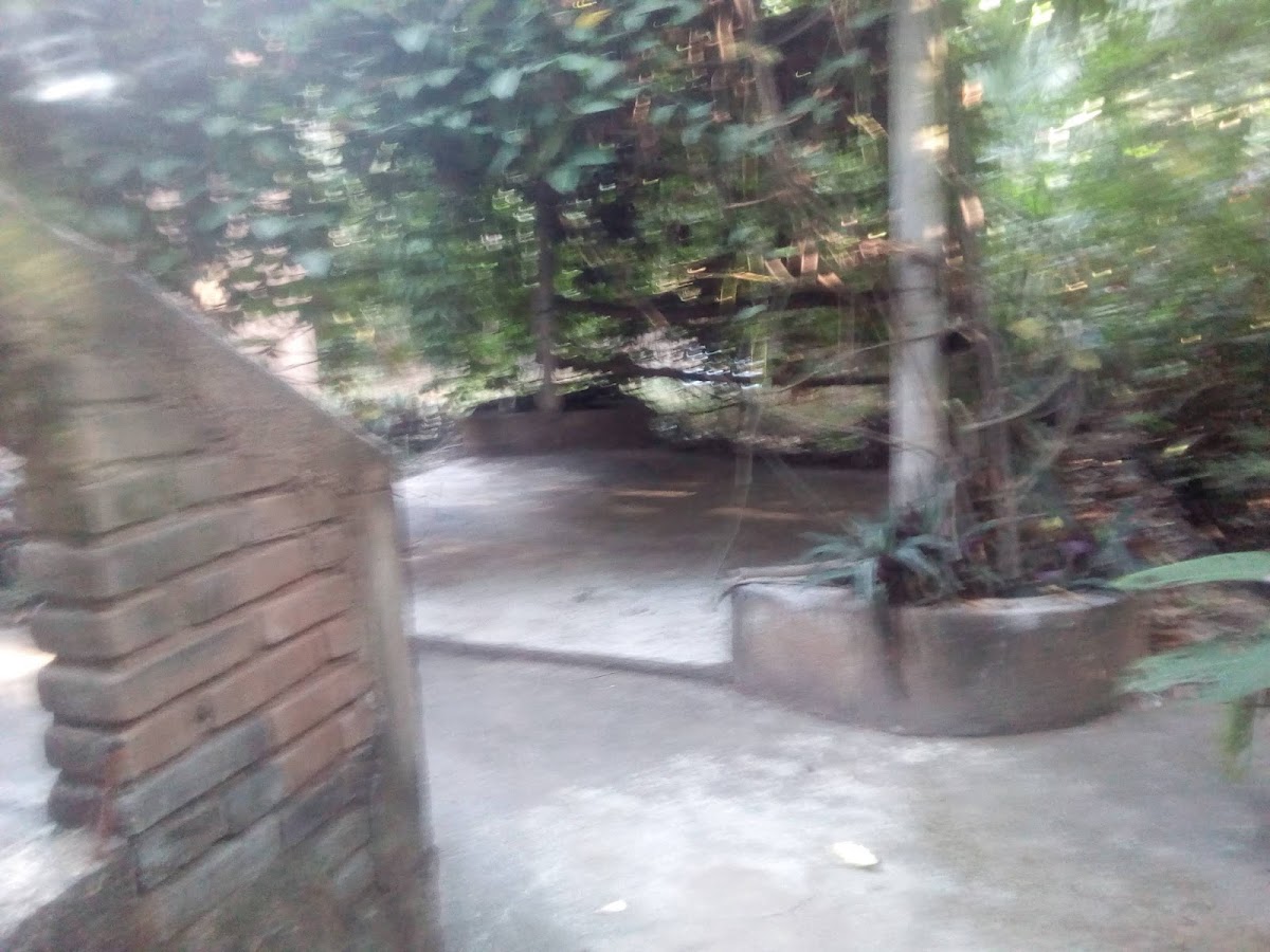 Rancho Bonito, Hospedaje de campo, Granja de Conejos gallery 10