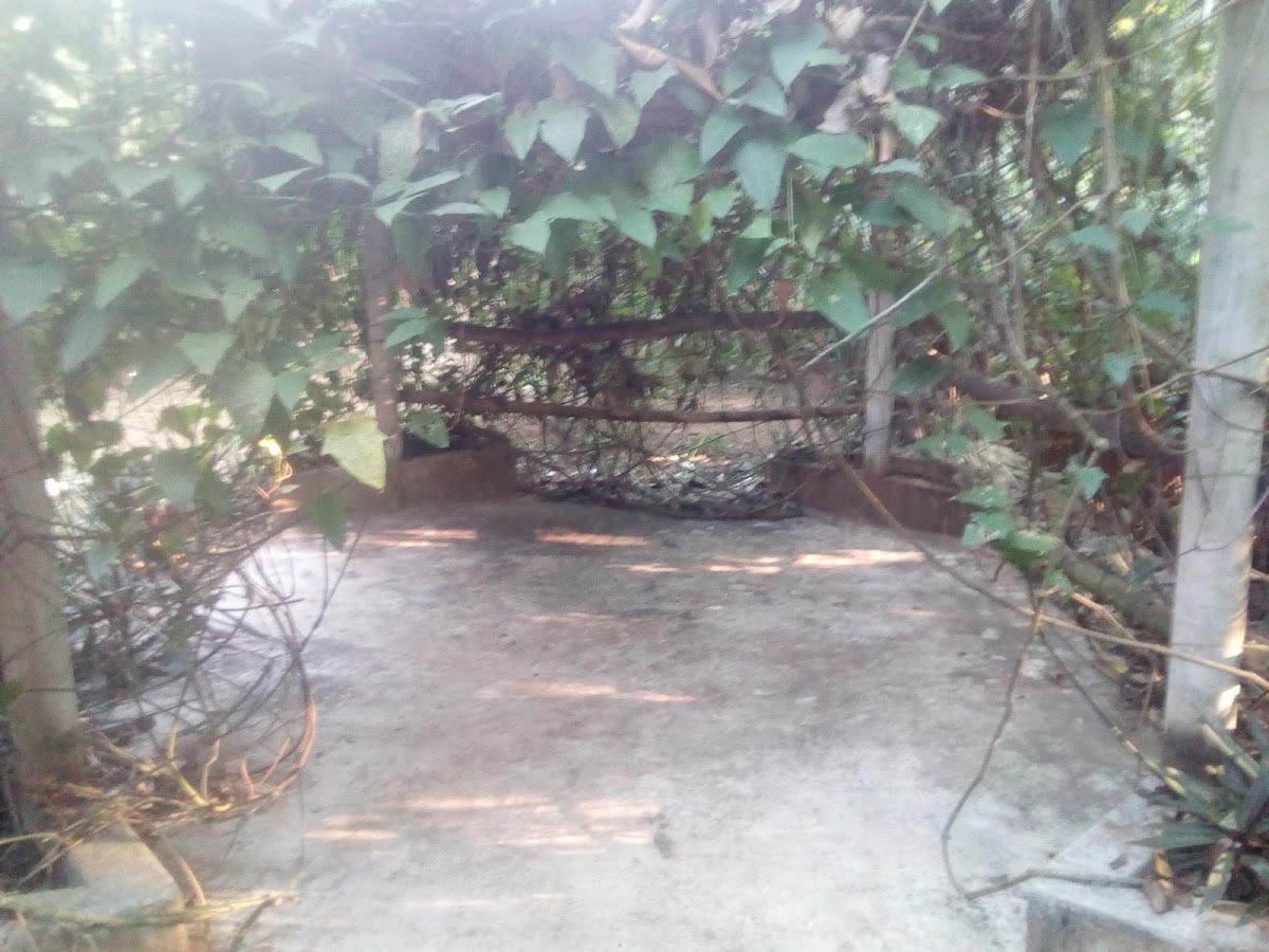 Rancho Bonito, Hospedaje de campo, Granja de Conejos gallery 5