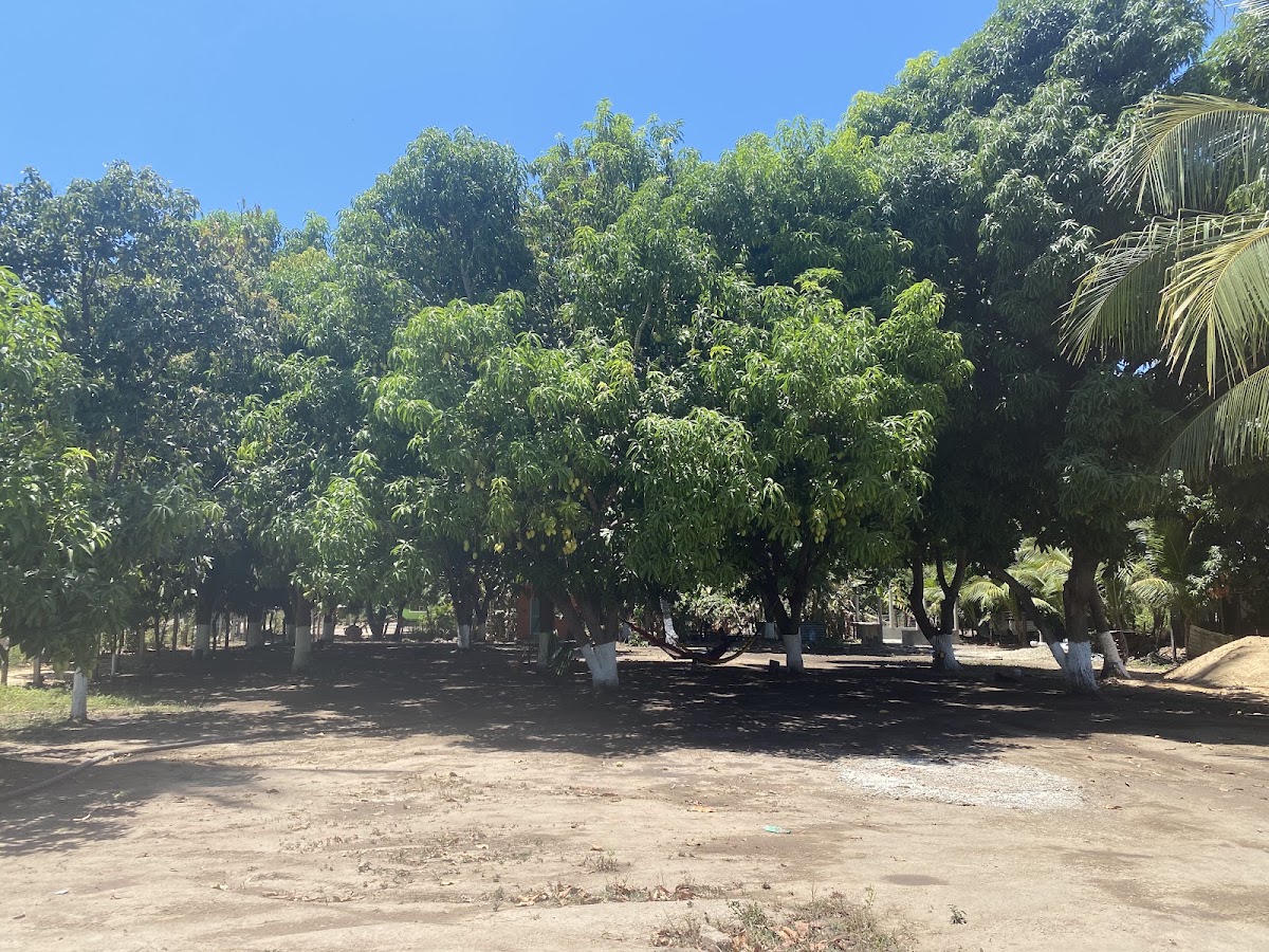Rancho Los Mangos gallery 1