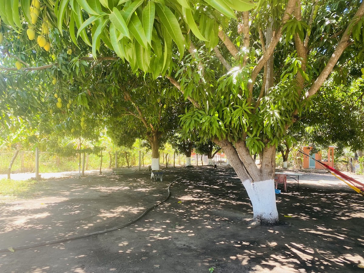 Rancho Los Mangos gallery 2