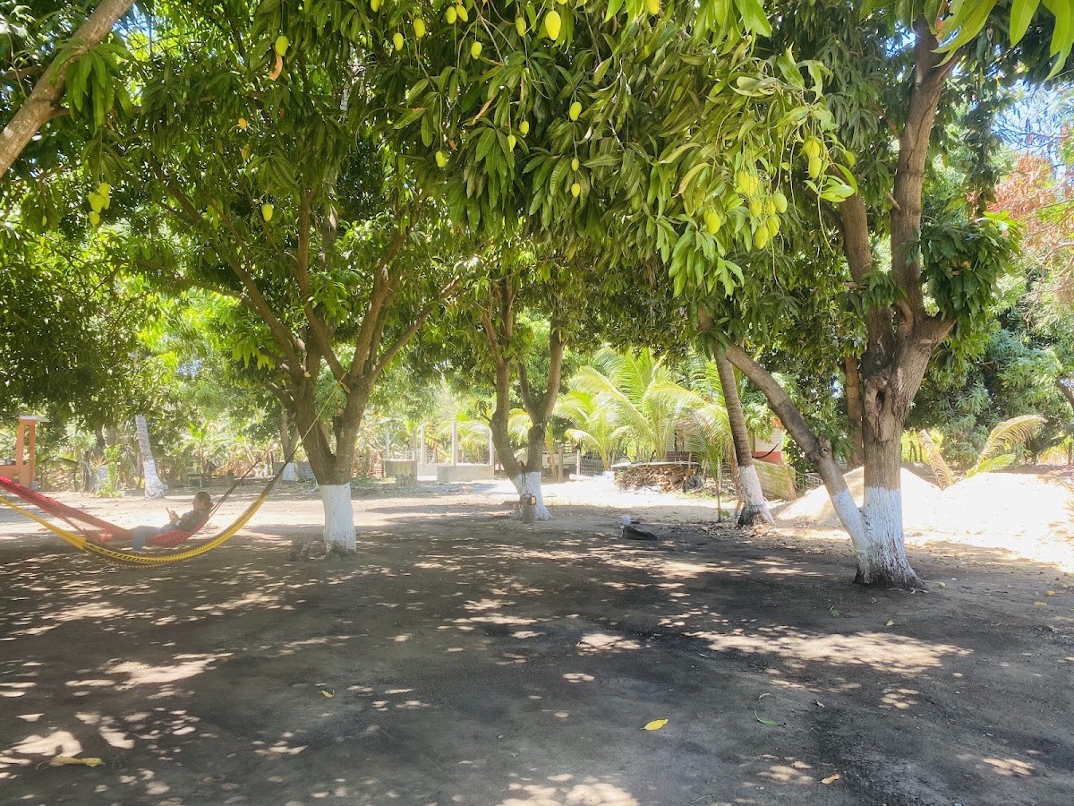 Rancho Los Mangos gallery 4