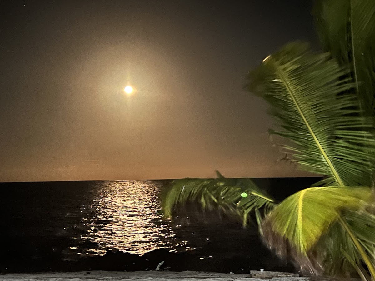 Rio Indio Lotes Habitacionales gallery 3