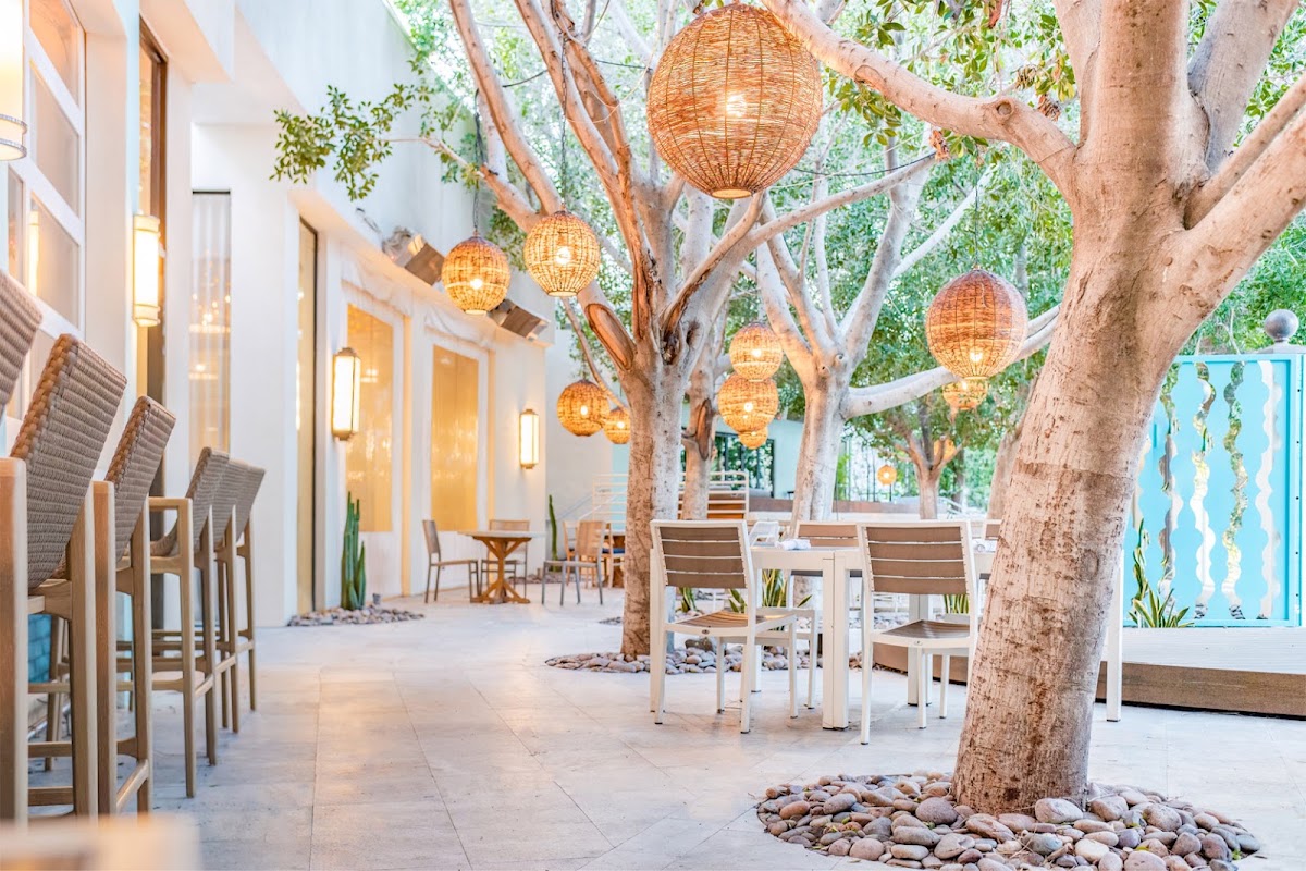 Riviera Resort & Spa Palm Springs gallery 1
