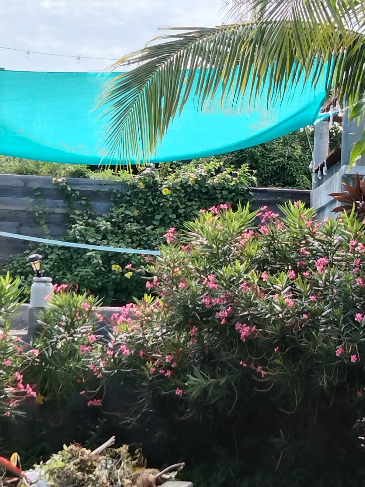Salt Life Cabanas gallery 8