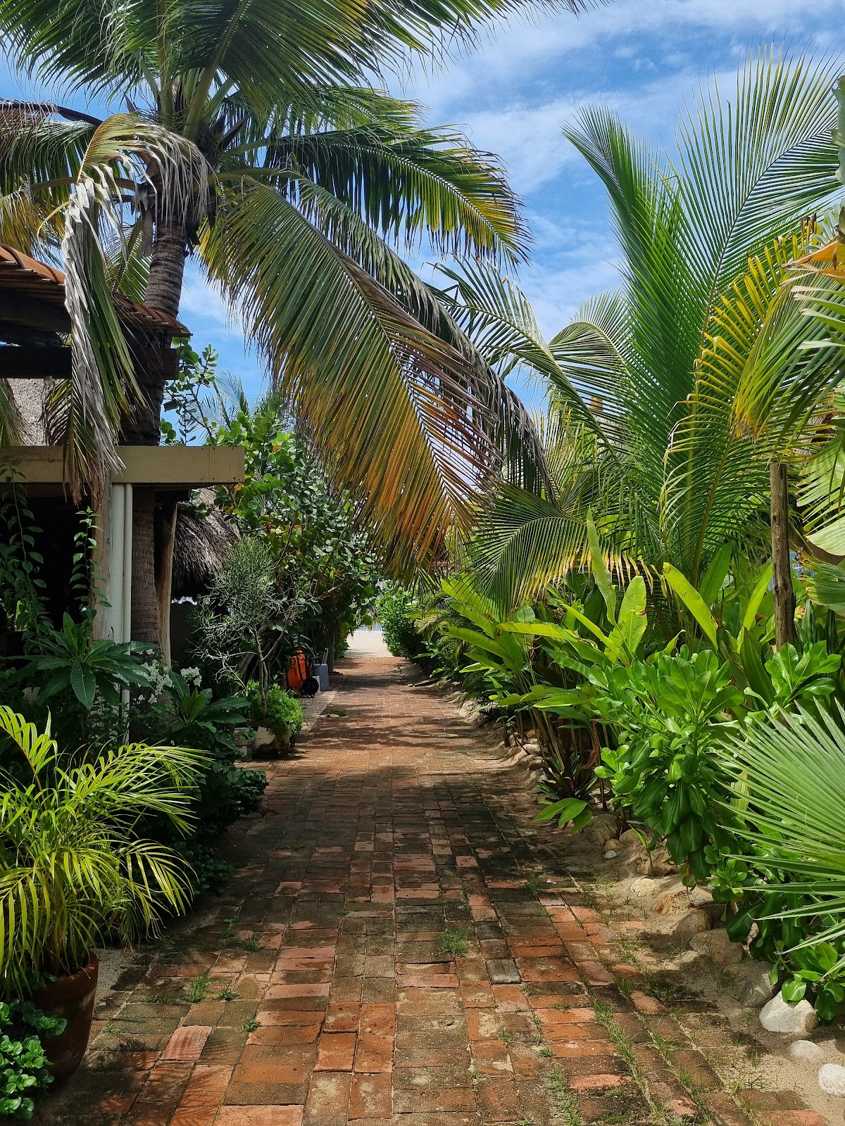 Secret Beach Hostel gallery 7