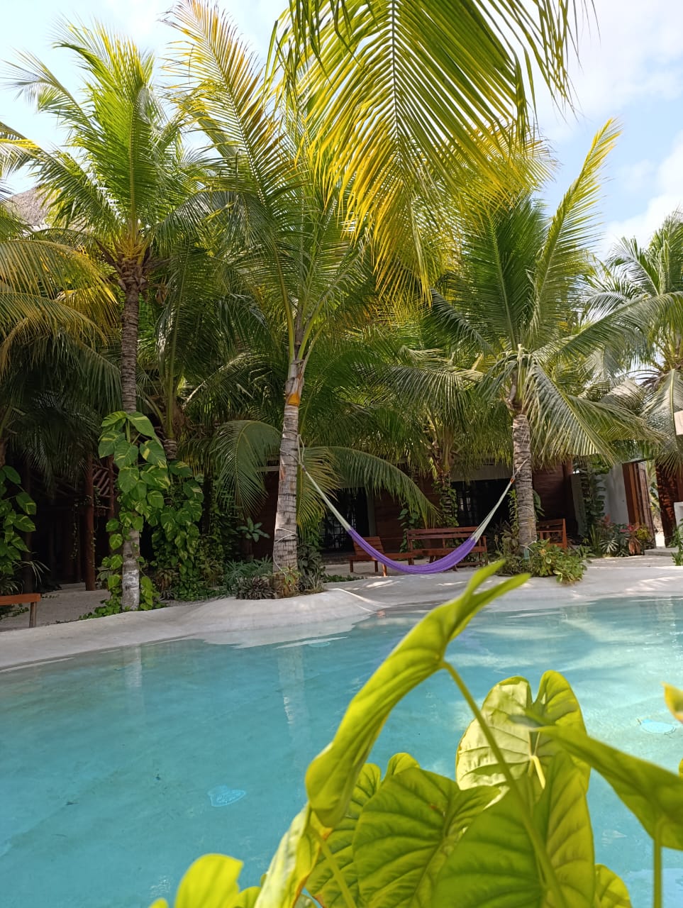 Secret Paradise mahahual gallery 3