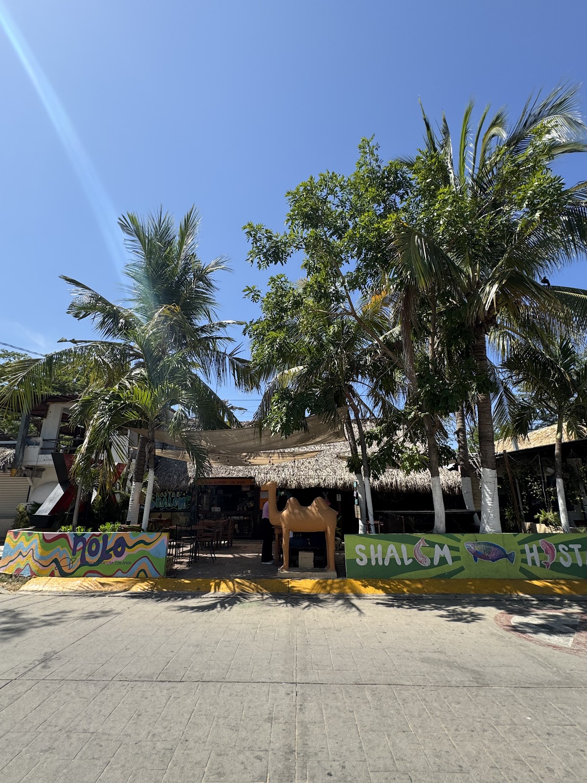 Shalom Backpacker Hostel gallery 1