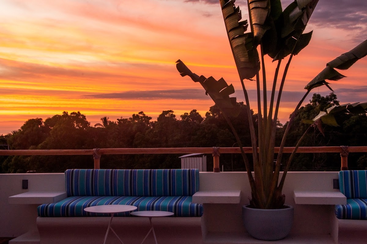 Shavanna Hotel Boutique gallery 8