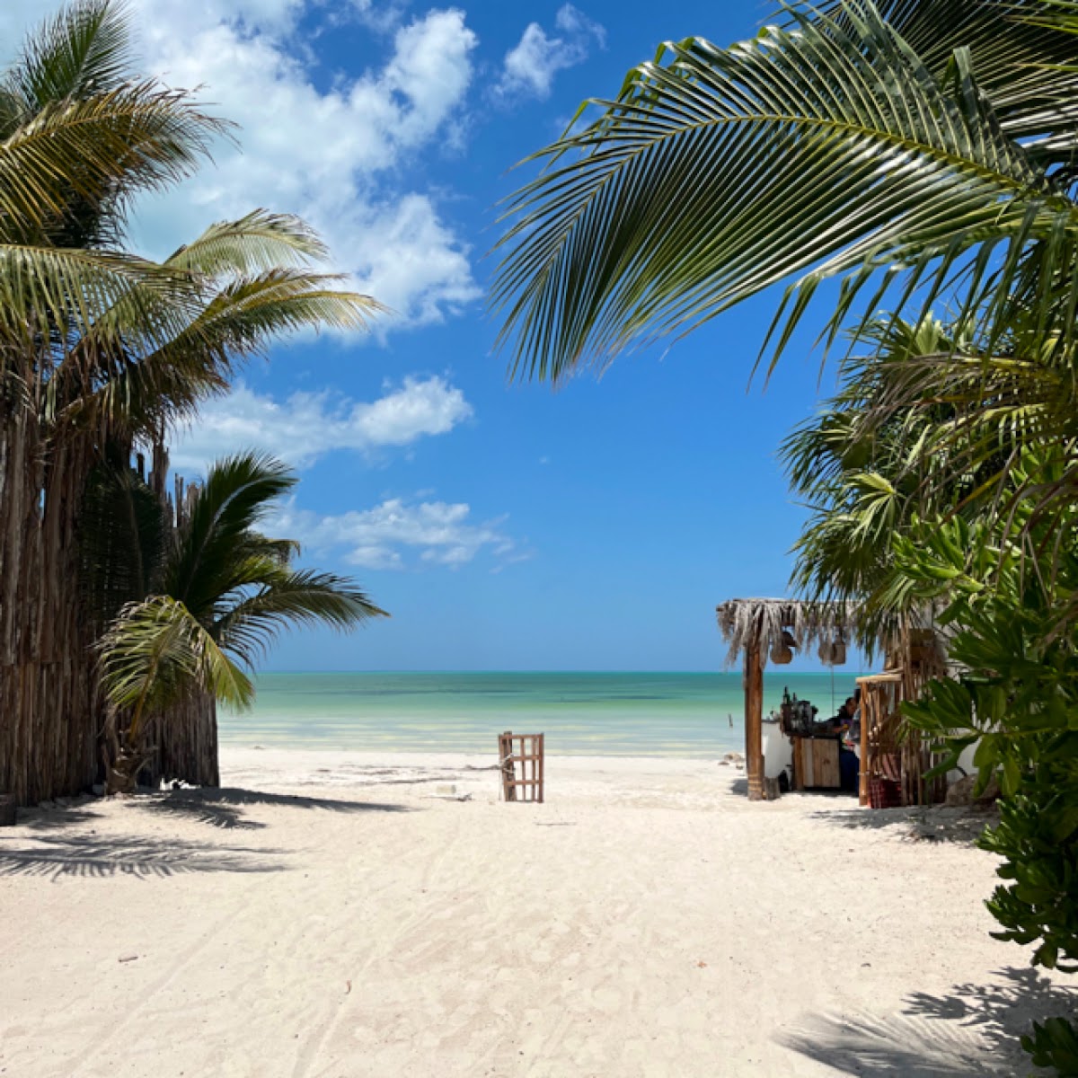 Skycamp Camping en Holbox gallery 9