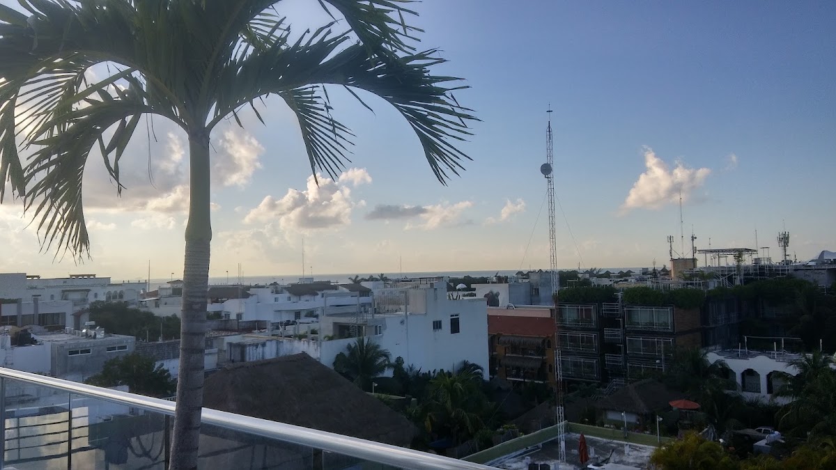 SOHO PLAYA Hotel gallery 9
