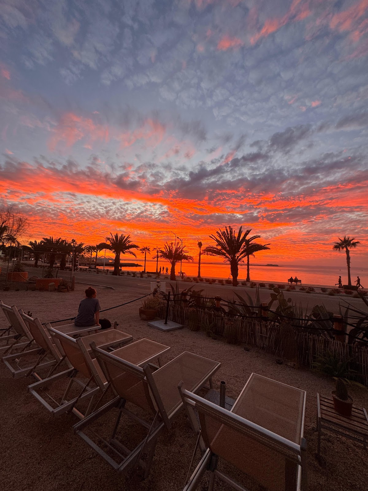 Sol RV Park & Tours gallery 2