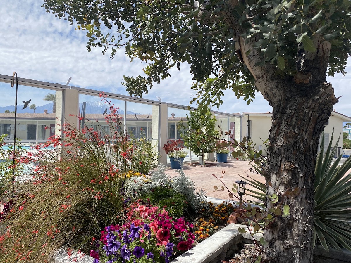Sparkling Waters Mobile Home & RV Park gallery 3