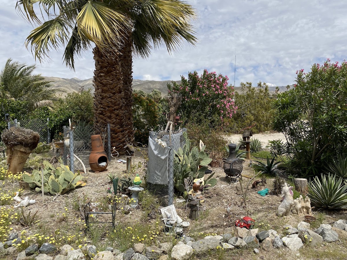 Sparkling Waters Mobile Home & RV Park gallery 5