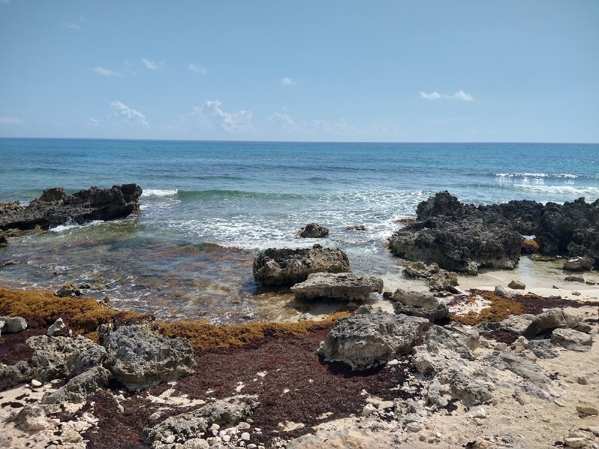 St. Martin Isla Mujeres Boutique Hotel gallery 3