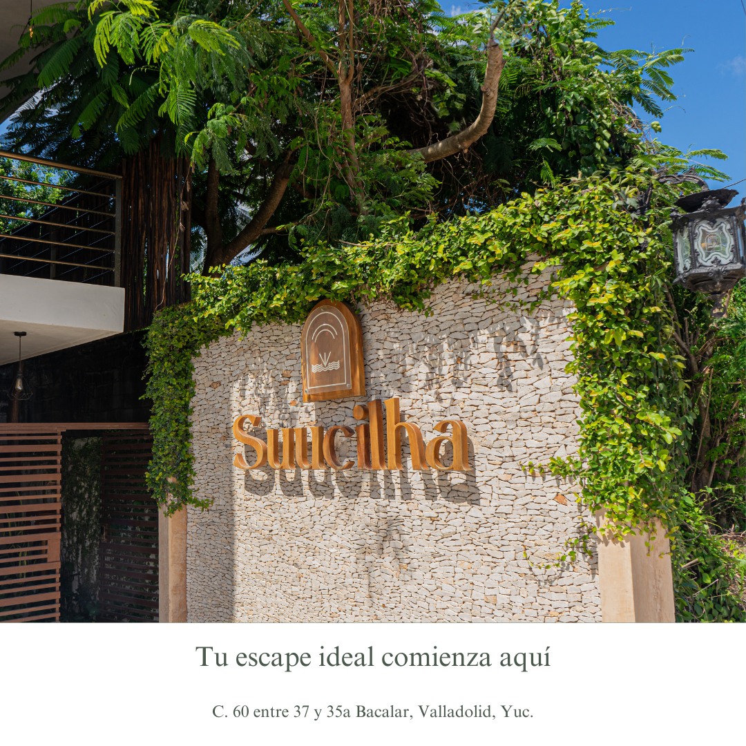 Suucilha gallery 6
