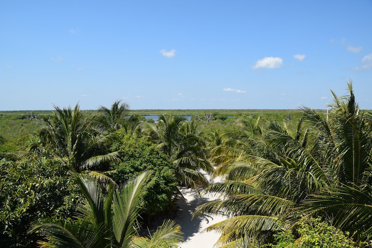 Taj Majahual, Jewel of Costa Maya gallery 3