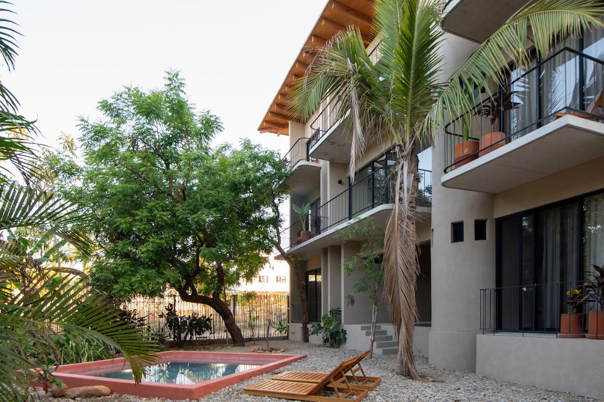 Tamarindos Apartments gallery 3
