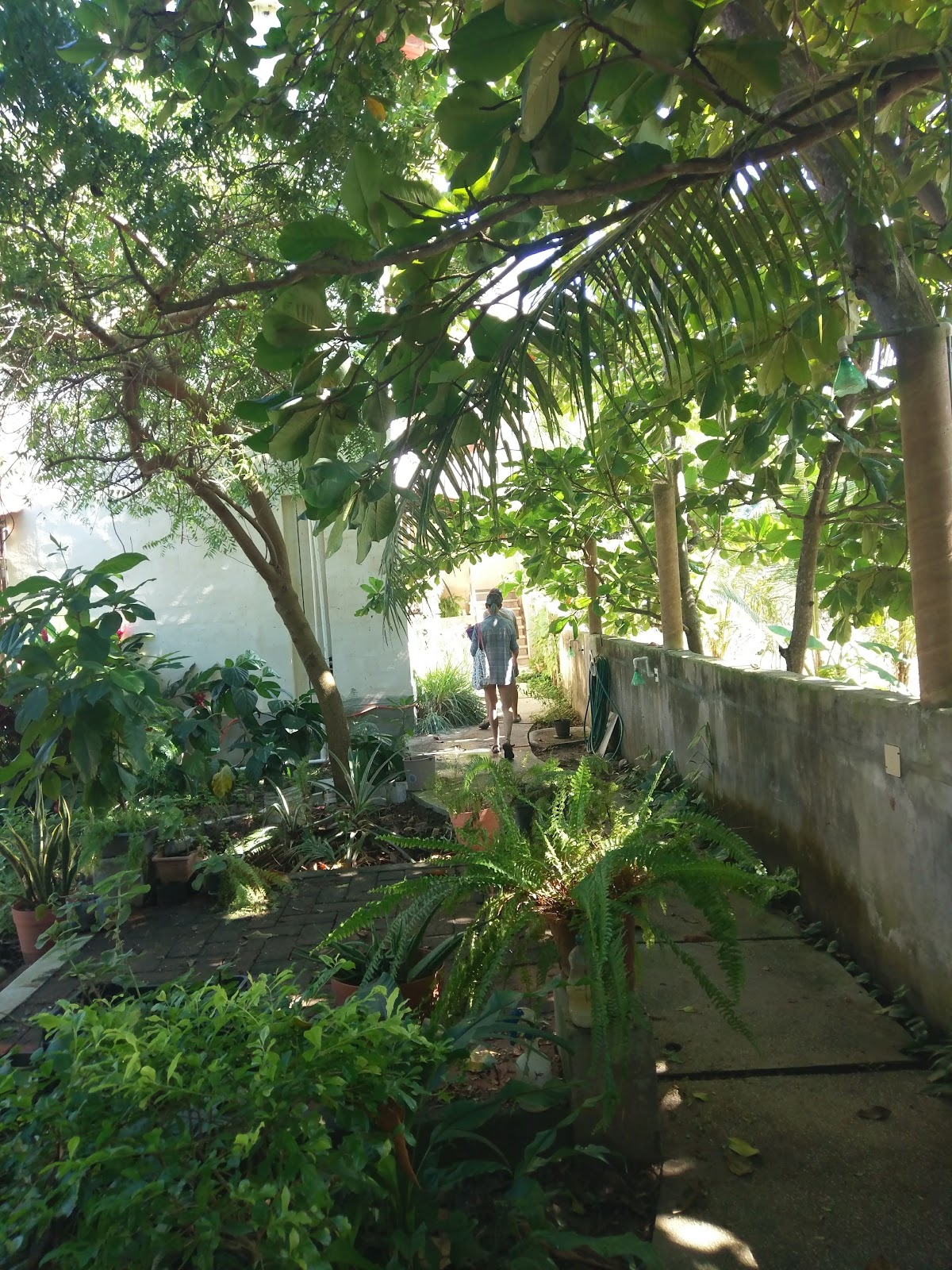 Tau Kie Sayulita Lofts gallery 6