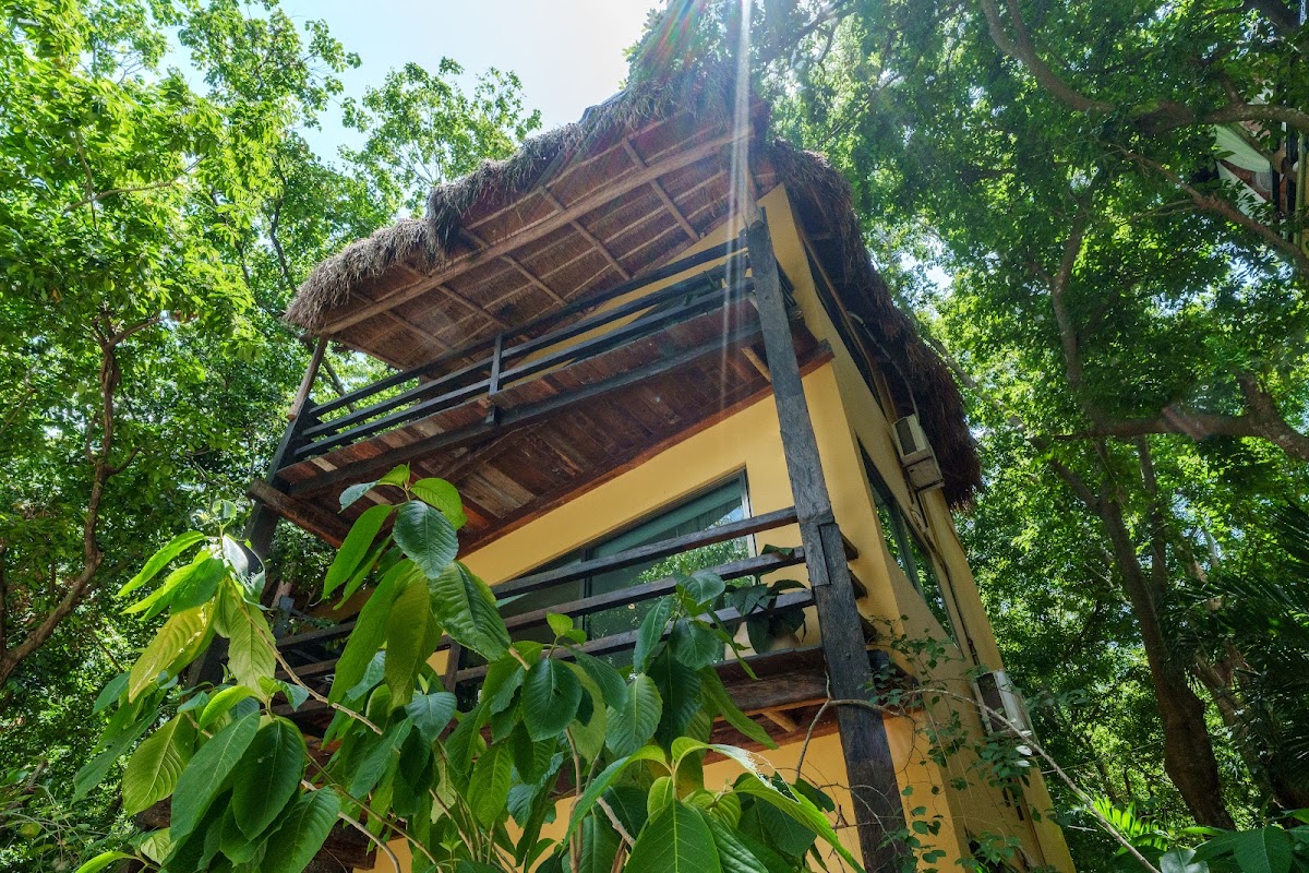 Terasu Riviera Maya Hotel & Spa gallery 1