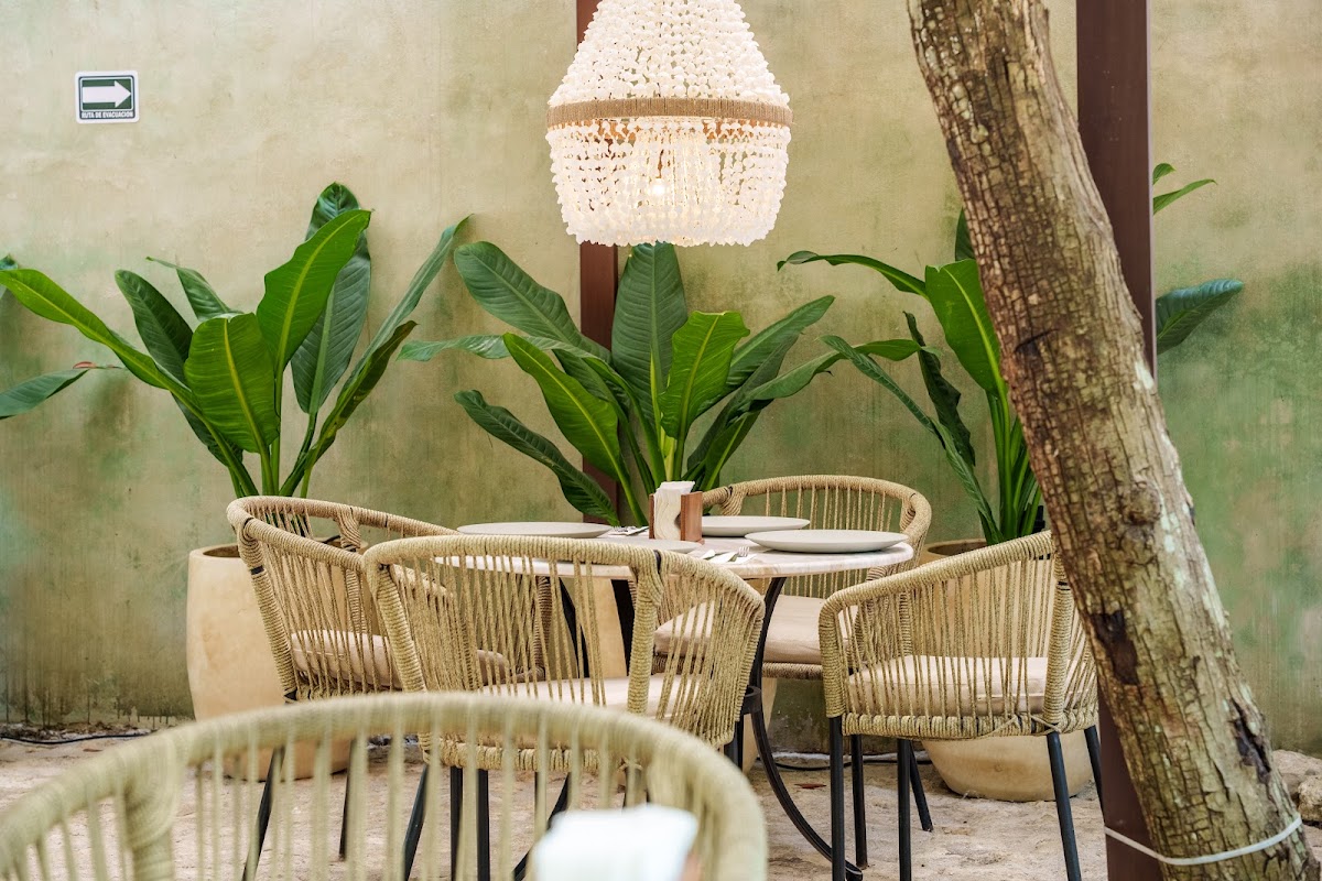 Terasu Riviera Maya Hotel & Spa gallery 7