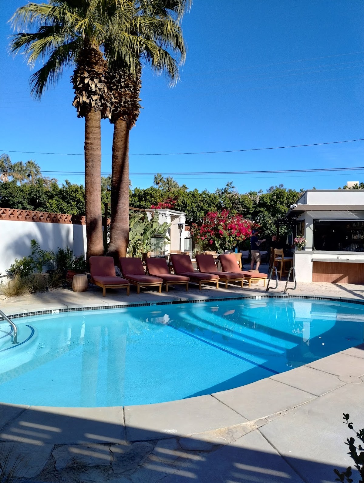 Terra Palm Springs gallery 10