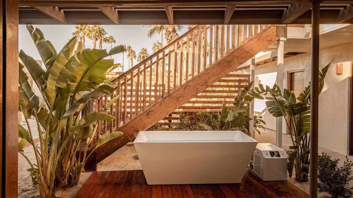 Terra Palm Springs gallery 6