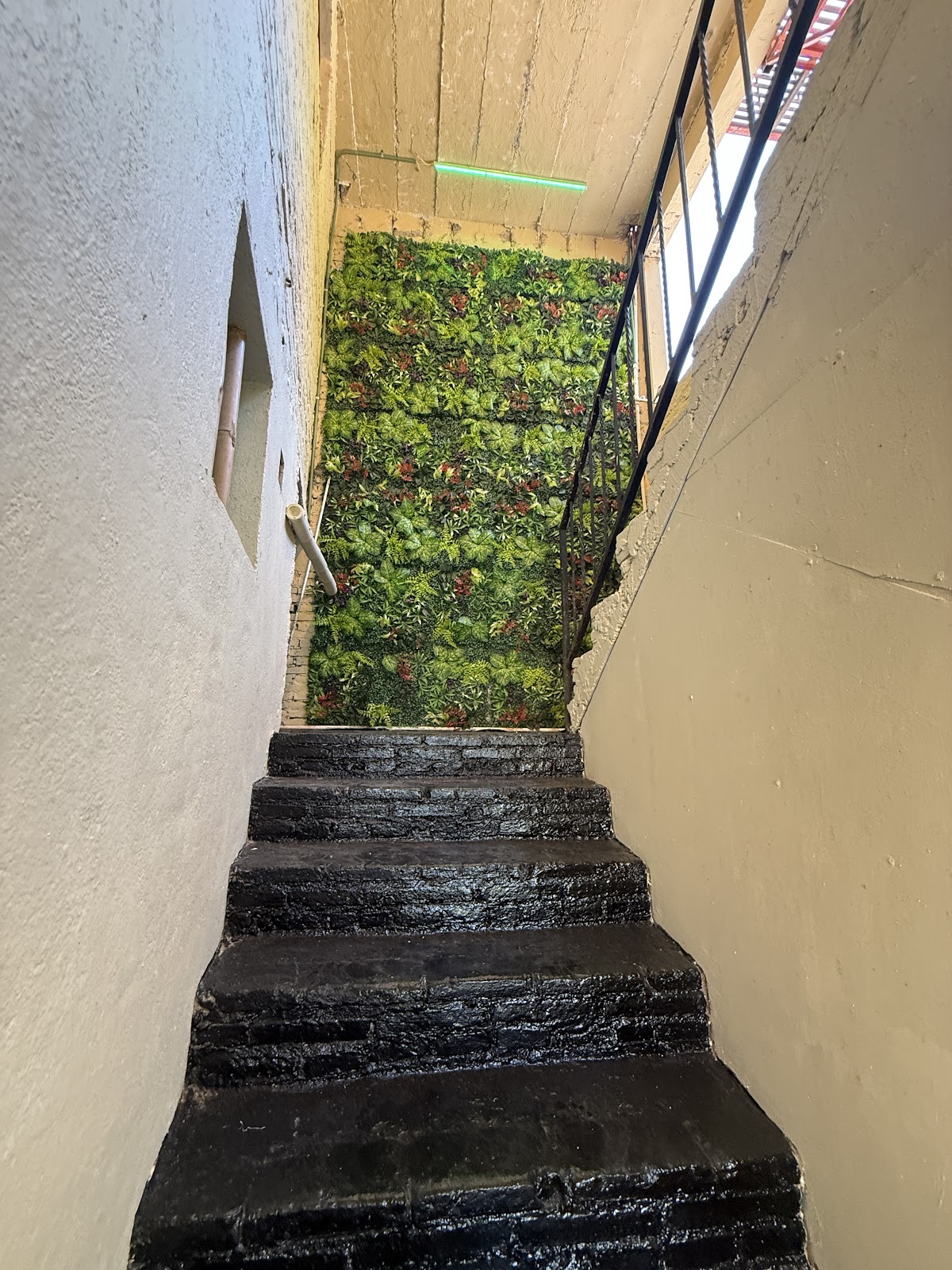 TerraZica Hostal gallery 9