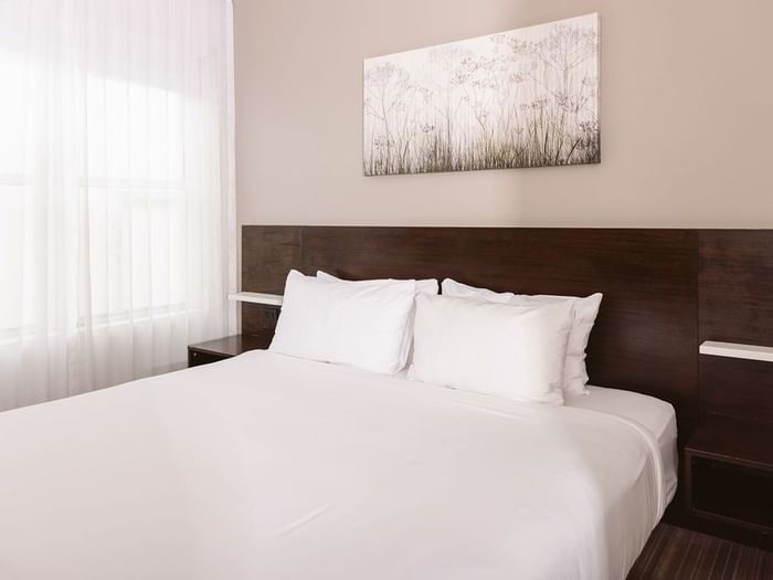Casa Boutique Hotel gallery 12