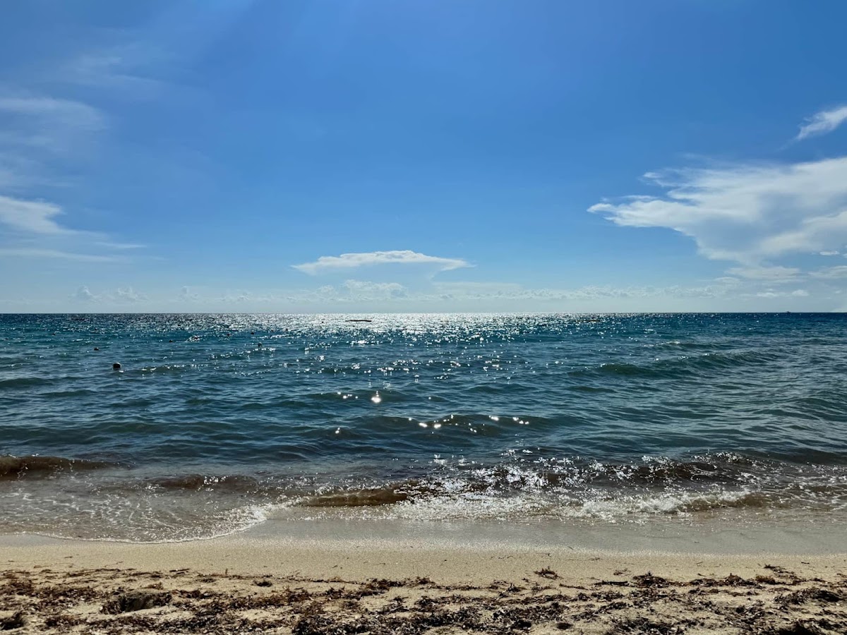 The Beach Club Condos, Cozumel gallery 1