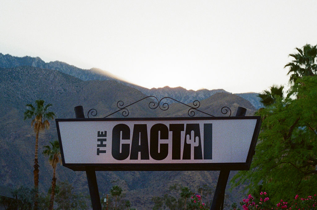 The Cactai gallery 9