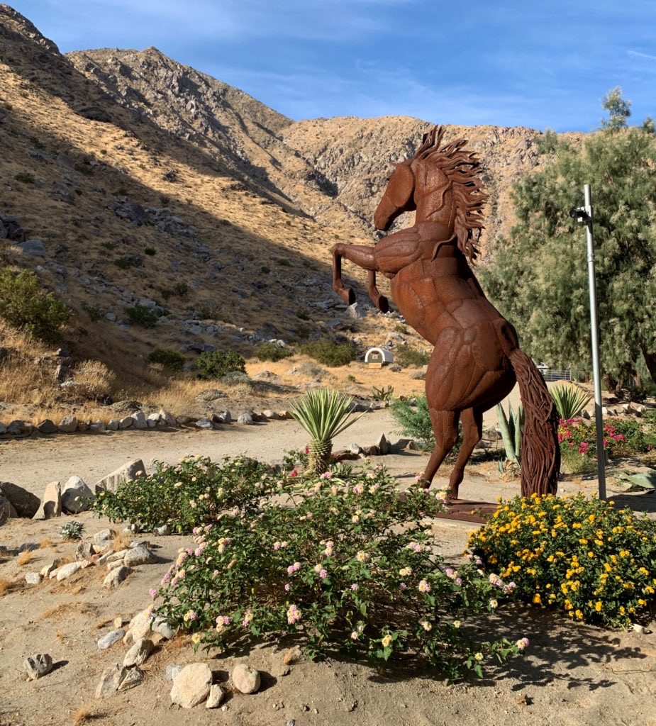 The Lazy C Ranch gallery 5