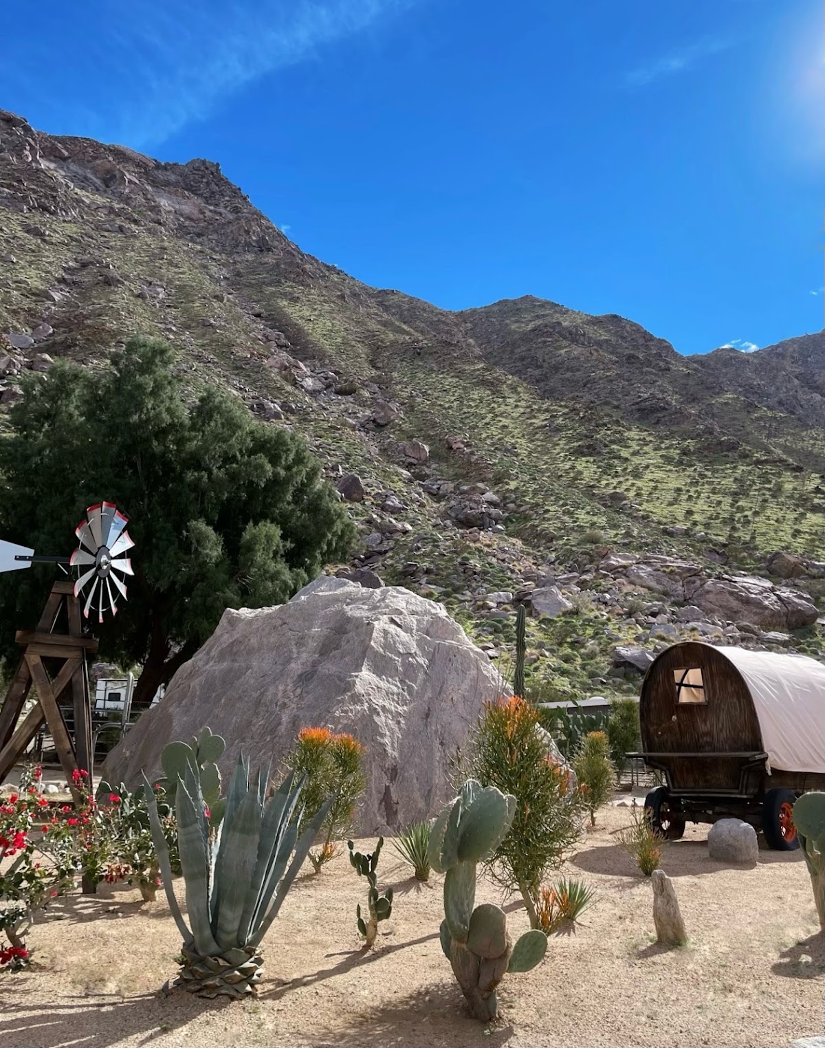 The Lazy C Ranch gallery 8