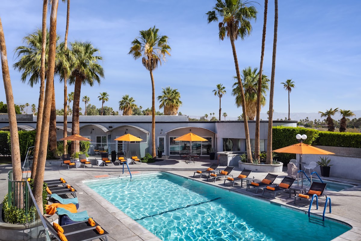 The Palm Springs Hotel gallery 3