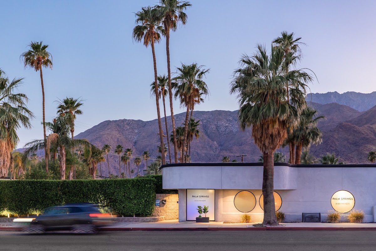 The Palm Springs Hotel gallery 7