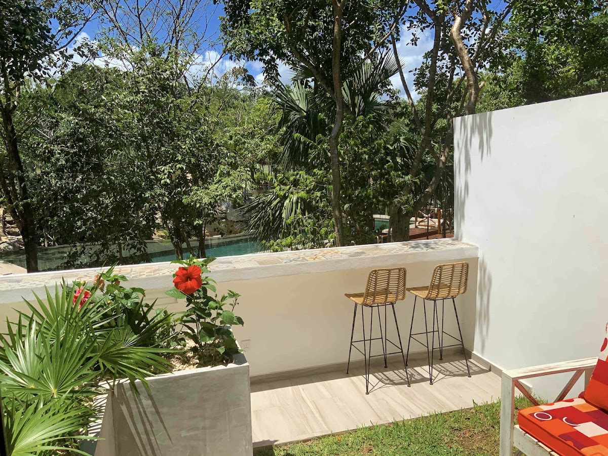 The Strelitzia Project gallery 2