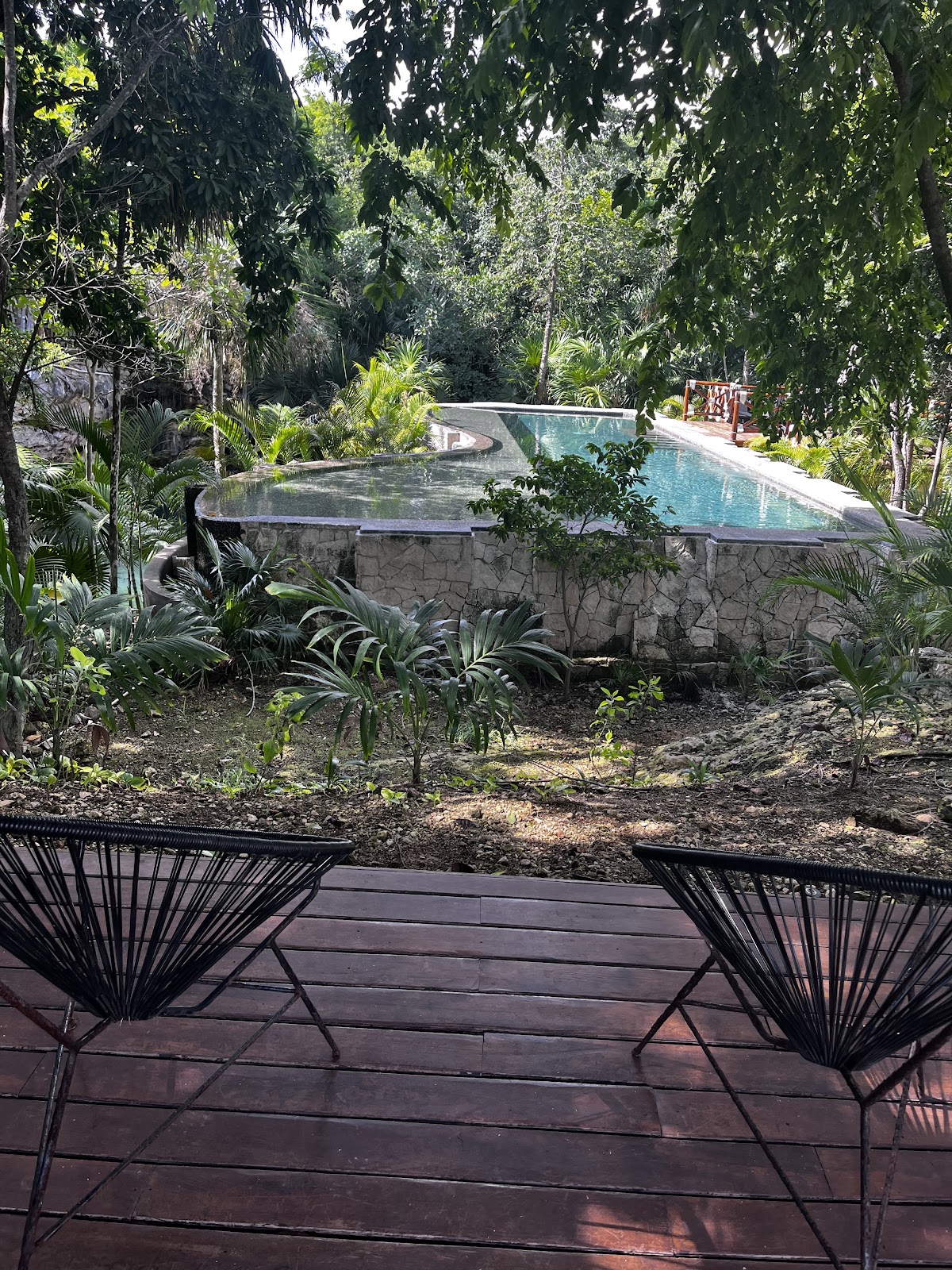 The Strelitzia Project gallery 5
